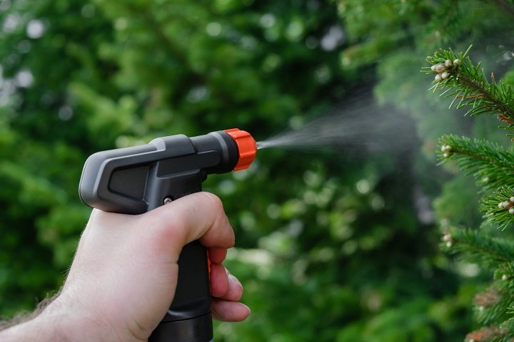 opryskiwanie drzewa iglastego