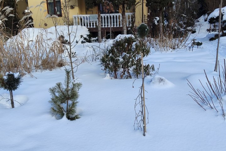 Rabata oglądana przez 12 miesięcy - za każdym razem wygląda inaczej. |Iglaki-Agro