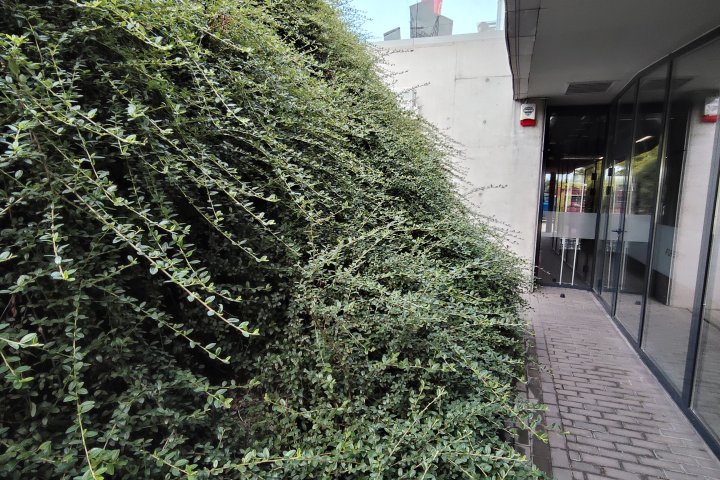 Praktyczne podejście do obsadzenia skarpy.