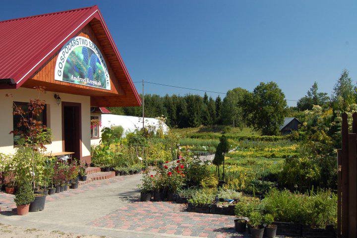 Punkt handlowy Kijany